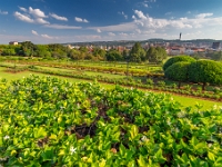 Pretoria